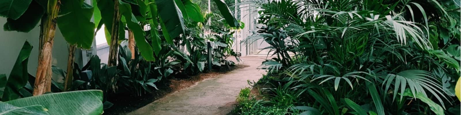 landscaping pros in Durban